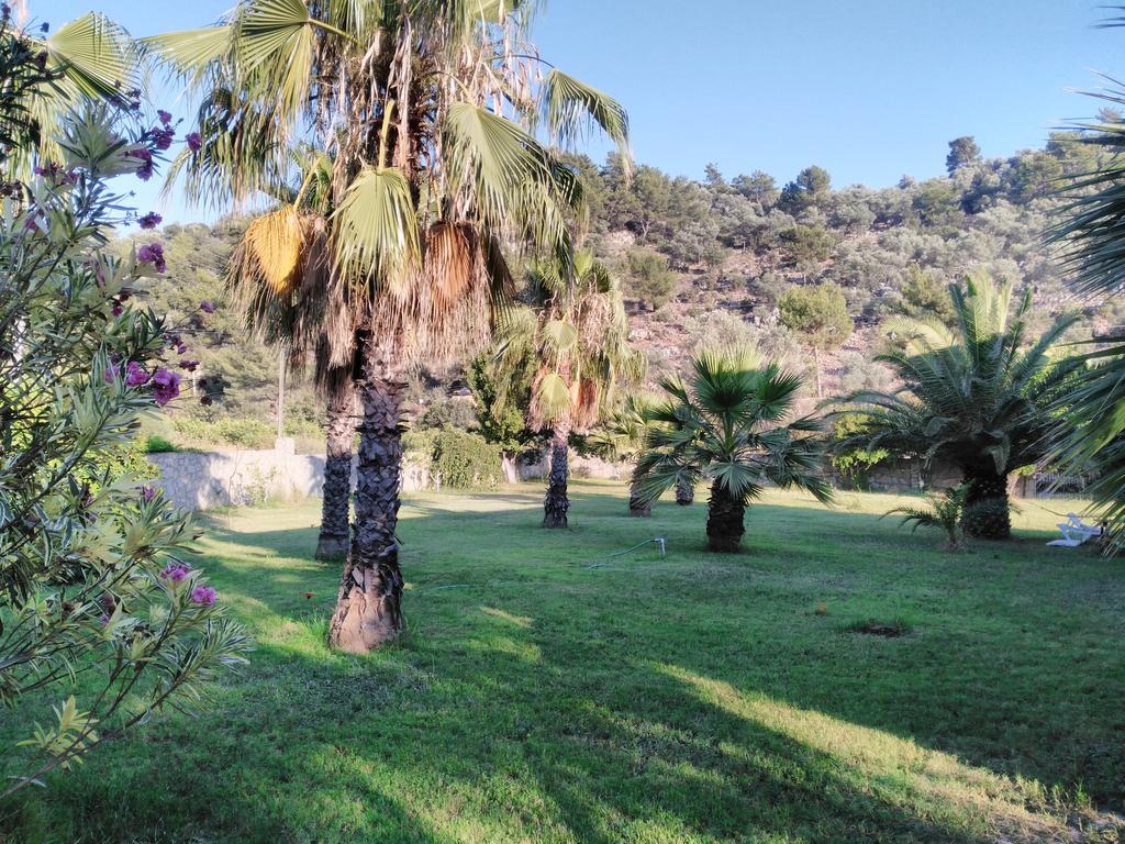 The Palm Apart סאריגרמה מראה חיצוני תמונה